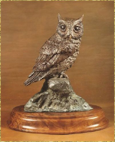 Screech Owl